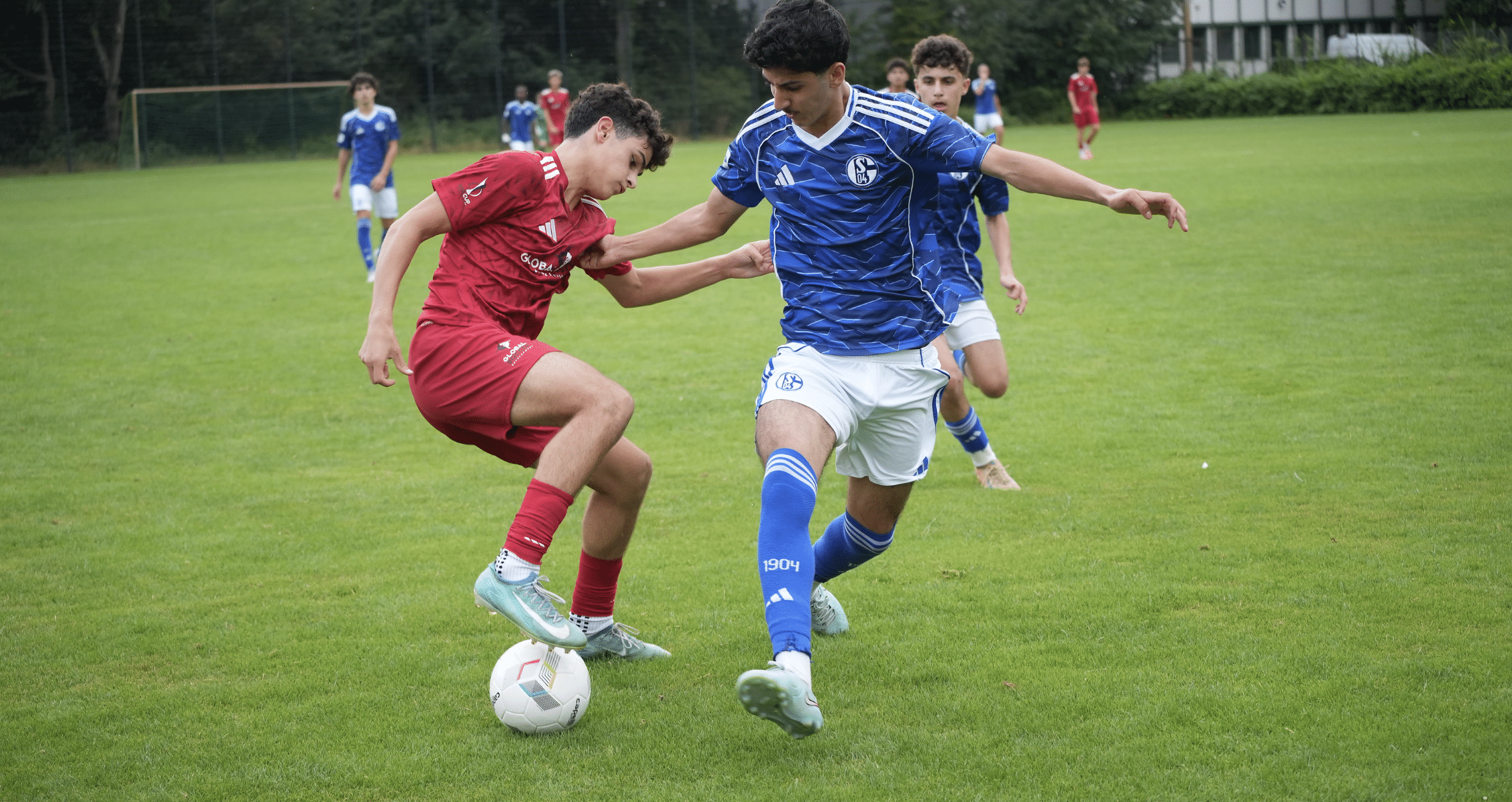 Two young soccer players in red and blue kits challenge for the ball on a grassy field, other players in the background.